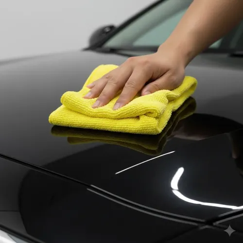 Lustrando o carro